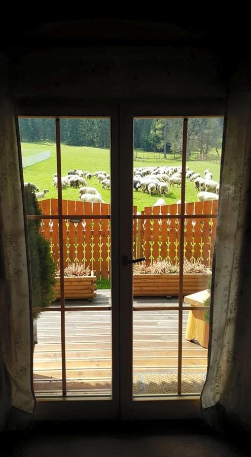 Domek Otulina Zakopane Bagian luar foto